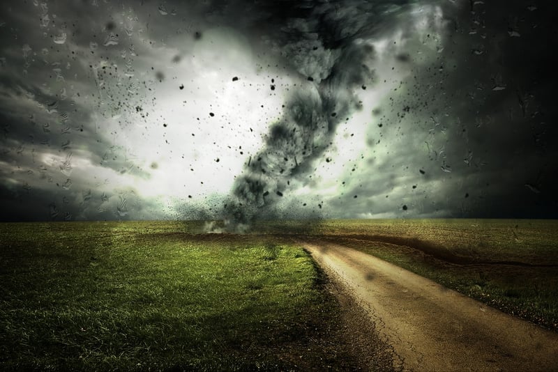 Environmental Changes